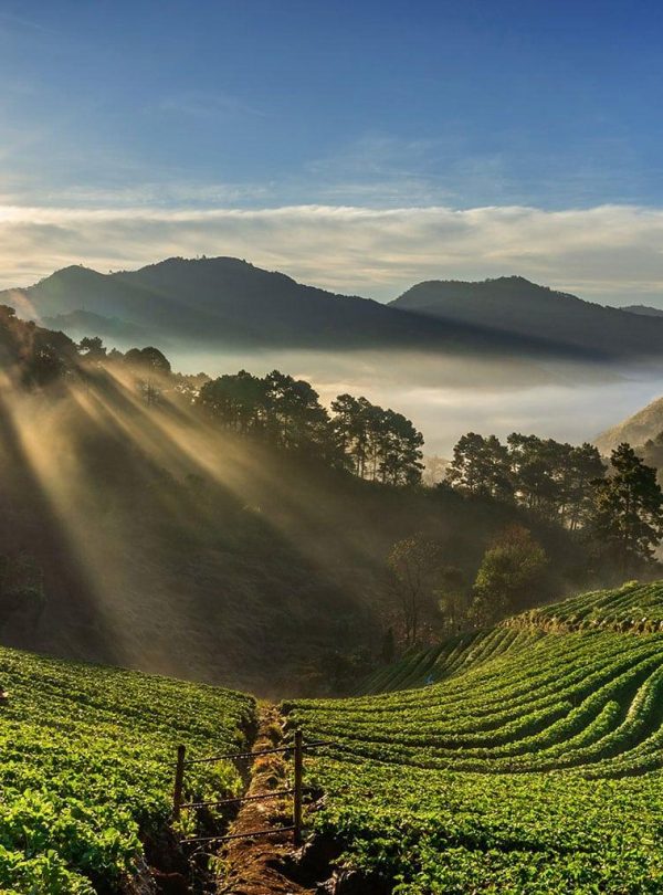 Top-5-Hill-Stations-in-South-India