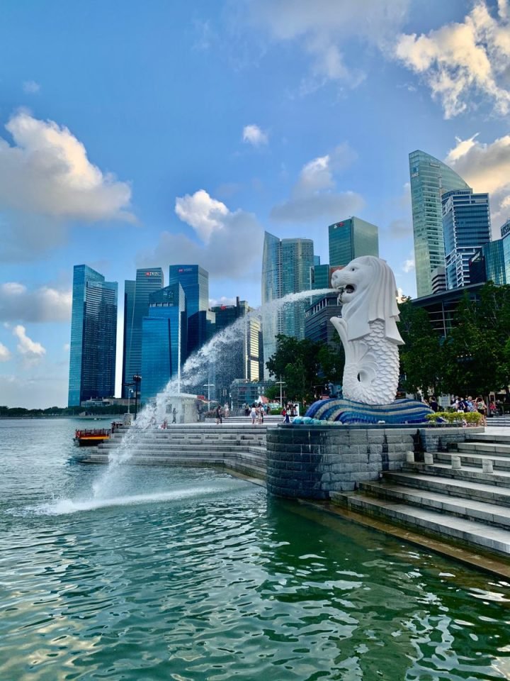 singapore + cruise potrait